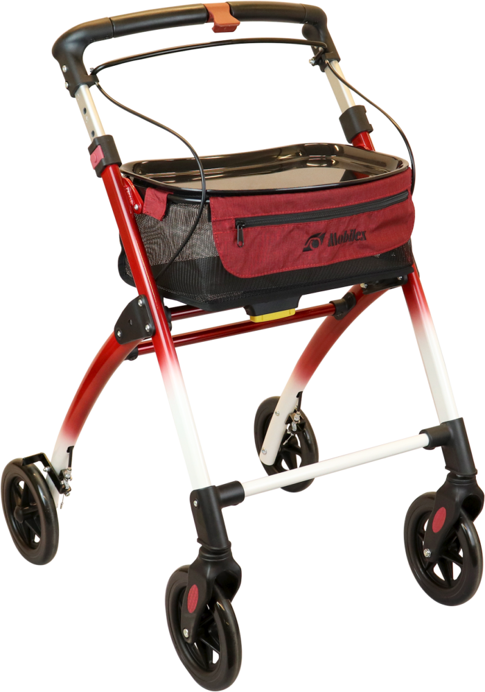 Indoor Rollmobil „Jaguar“ – Bild 4