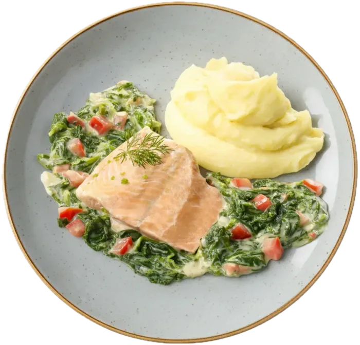 Feines Wildlachsfilet